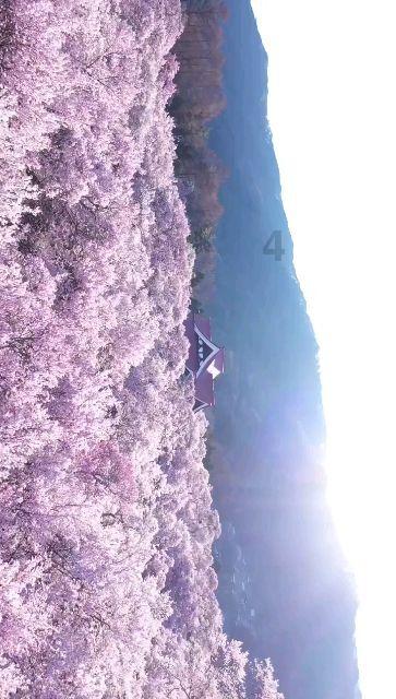 仙剑奇侠传2