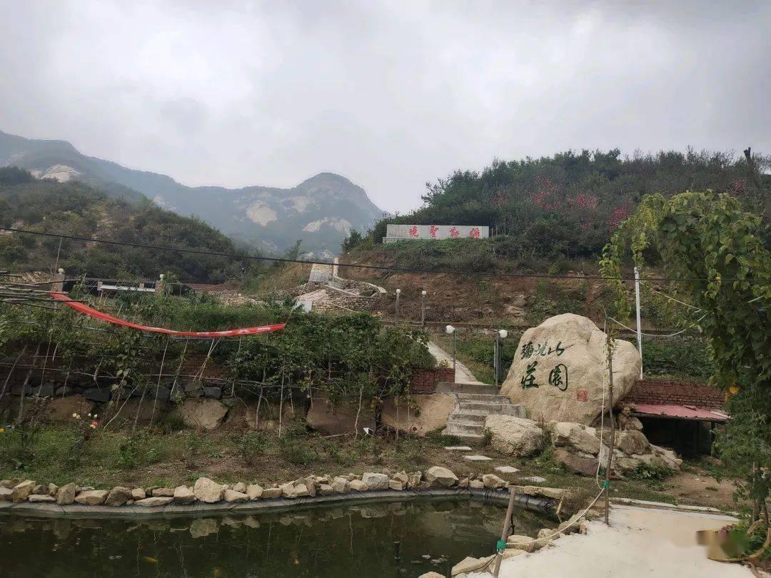 淮海战役庆功宴,一副司令当众掀桌离席,邓公笑道:随他去吧