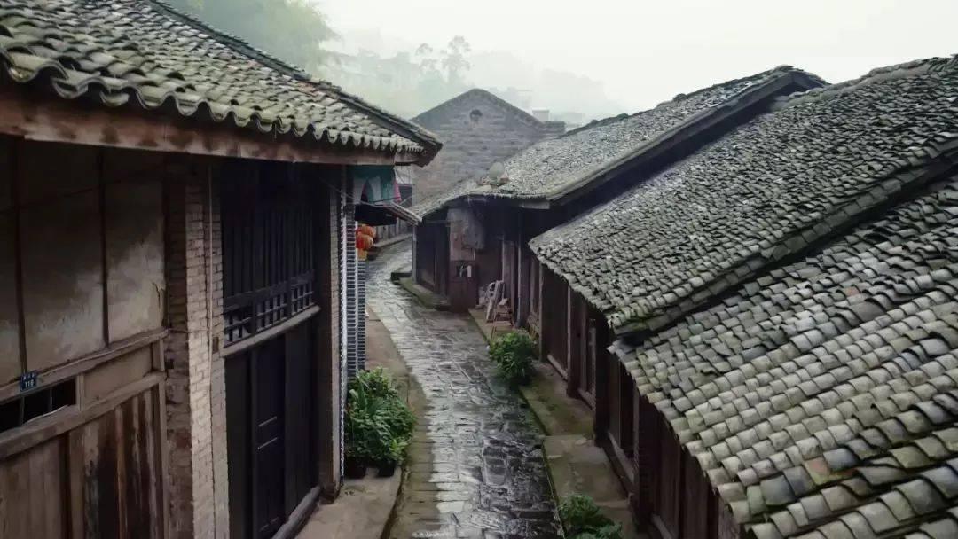 信心之火｜专访张军：经济恢复，政府要帮助中小微恢复元气